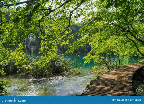 Wooden Trails in Plitvice Lakes National Park Stock Photo - Image of ...