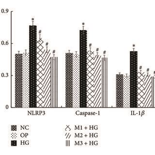 The Mrna Expression Of Nlrp Caspase And Il In Mesangial Cells