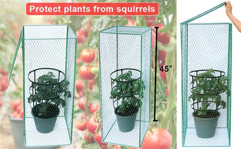 Heidi Tomato Plant Cover Rats Proof Protectors From