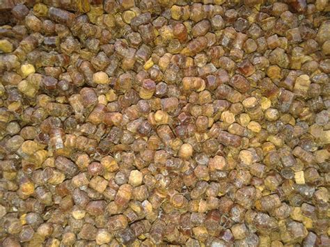 Перга Как Выглядит Фото – Telegraph