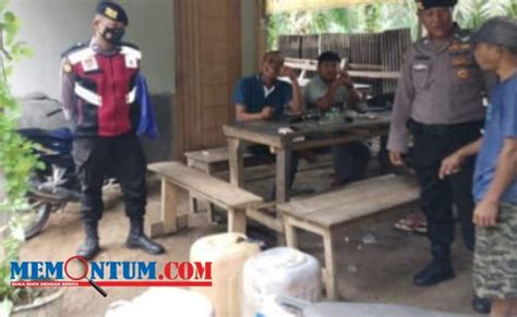 Ops Pekat Nala Ii Polres Muko Muko Sita Liter Tuak Dan Puluhan