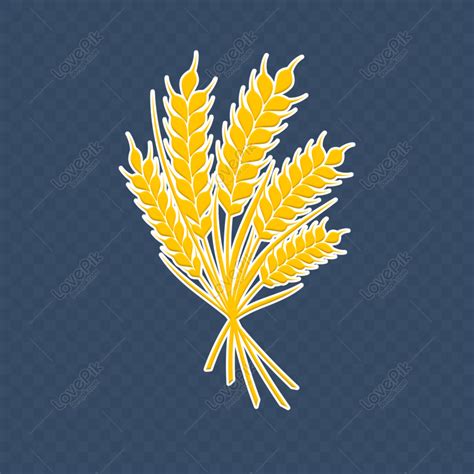 Free Autumn Harvest Wheat Ear Rice Golden Element Design Png