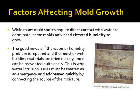 Ppt Mold Awareness Training Powerpoint Presentation Id