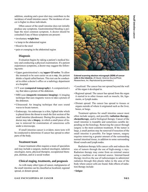 Small Intestine Cancer | PDF