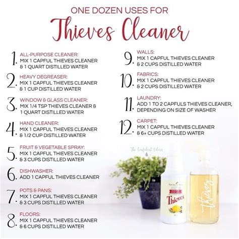 Thieves Carpet Cleaner Recipe Bryont Blog