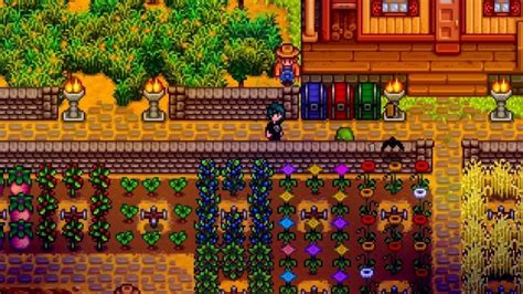 Stardew Valley | A Guide to the Wilderness Farm Map