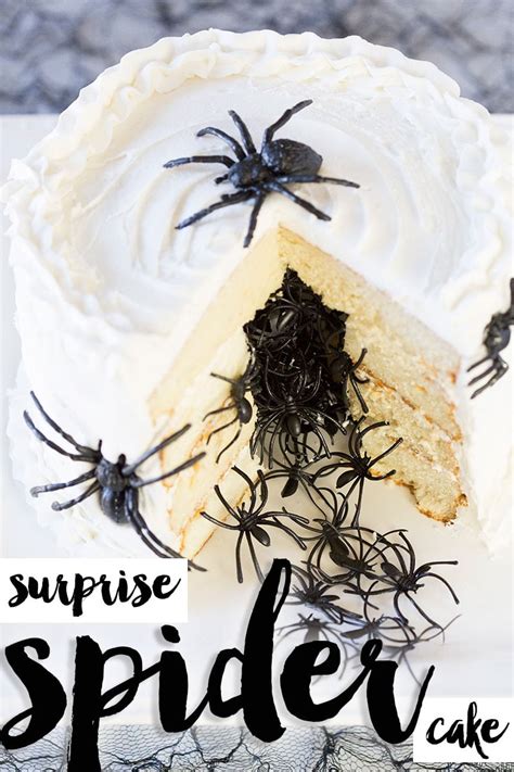 Halloween Spider Cake DIY Tutorial & Recipe