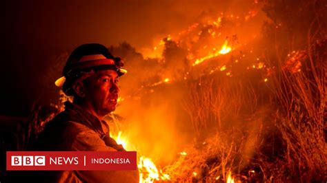 Perubahan Iklim Picu Tren Kebakaran Hutan California Menurut Studi