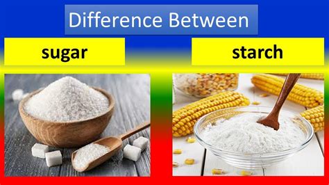 Difference Between Sugar And Starch Youtube