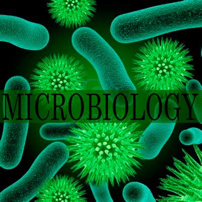 Microbiology Course Details - Eligibility, Duration, Colleges and Career 