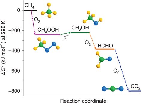 Gibbs Free Energy Corresponding To The Formation Of Ch Ooh Ch Oh Hcho