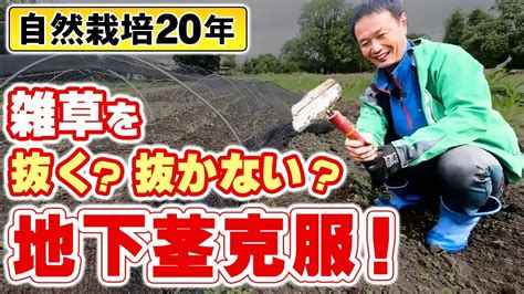 【自然栽培269】雑草を抜く？抜かない？ 地下茎克服実例紹介！ Youtube