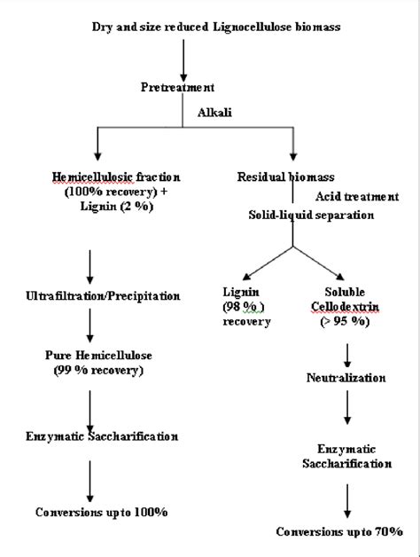 Flowchart Depicting Pretreatment Scheme Of Lbm Download Scientific