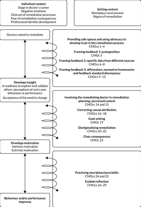 Programme Theory Of Remediation Reproduced With Permission From Price Download Scientific