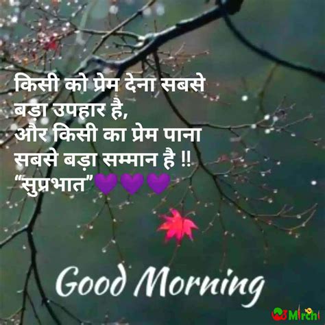 Top Good Morning Images Shayri Amazing Collection Good Morning