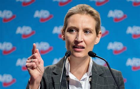 Alice Weidel Steckbrief Bilder Und News Web De