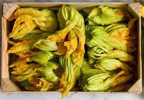 Fiori Di Zucca Ripieni La Versione Al Forno Che Ti Far Dire S Al