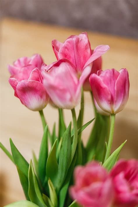 Bouquet of Tulips in Spring Stock Photo - Image of nature, love: 109135490