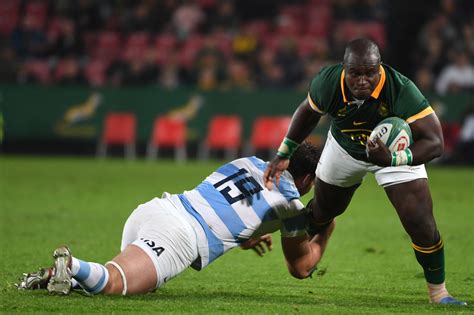 How To Watch Argentina V South Africa Live Stream Todays Rugby