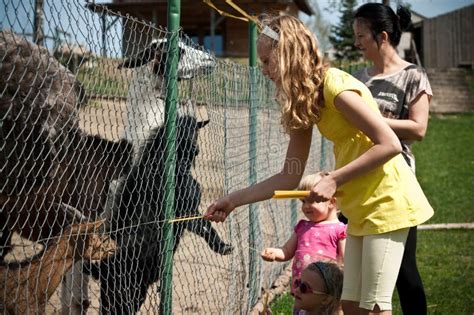 Family Feeding Animals In Farm Stock Photo - Image of child, girl: 24723488