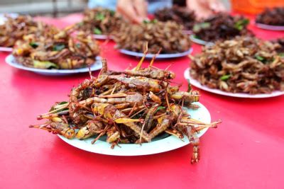 Manfaat Makan Belalang Ada Juga Risiko Kesehatannya