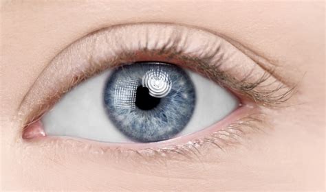 🥇Лифтинг-крем для век: обзор 7 средств с лифтинговым эффектом