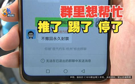 【1818黄金眼】本来只是想“帮忙” 结果被永久封禁？ 1818黄金眼 1818黄金眼 哔哩哔哩视频