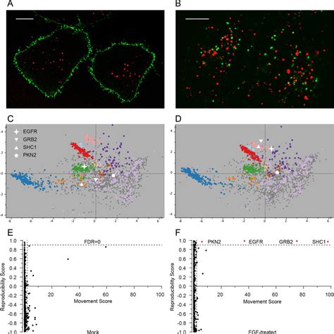 Figures And Data In Global Quantitative And Dynamic Mapping Of Protein