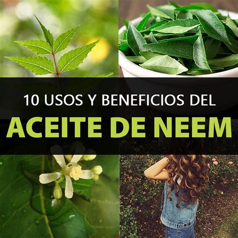 10 Usos y Beneficios Del Aceite De Neem La Guía de las Vitaminas