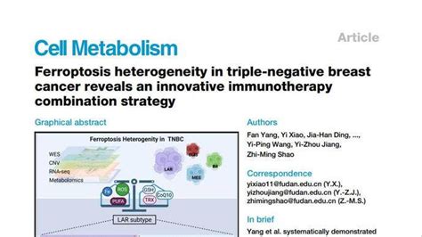 三阴性乳腺癌复旦分型新突破：“铁死亡”调控成潜在策略，成果刊《细胞代谢》研究治疗调控