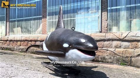 My Dino Animatronic Orca Killer Whales Marine Animal Youtube