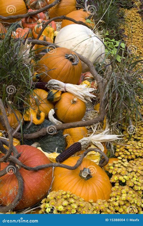 Thanksgiving and Fall Decor Stock Photo - Image of garden, season: 15388004