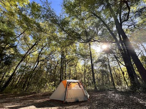 Springtime at Alexander Springs : camping