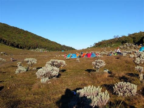 Alun Alun Surya Kencana Tiket And Daya Tarik Desember 2024