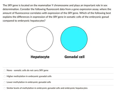 Solved The Sry Gene Is Located On The Mammalian Y Chromosome And Plays An Important Role In Sex