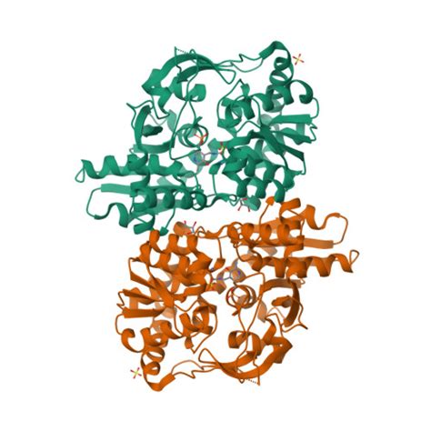 RCSB PDB 2DH5 Crystal Structure Of E Coli Holo TrpB