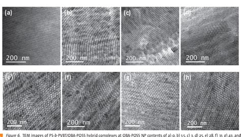 Figure 1 From Transforming The Self Assembled Structures Of Diblock Copolymerposs Nanoparticle