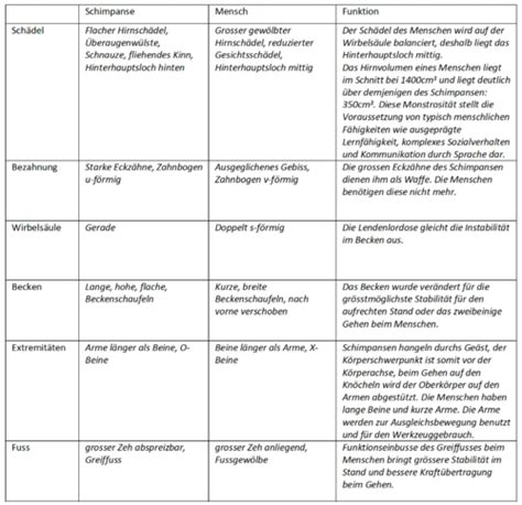 Evolution Ökologie Flashcards Quizlet