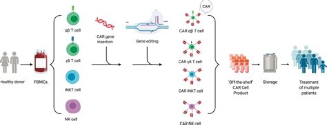 Frontiers Allogeneic CAR Cell TherapyMore Than A Pipe Dream