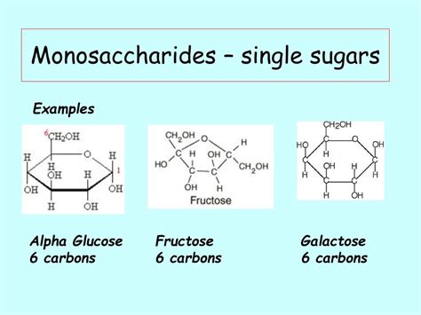 Ppt Carbohydrates Powerpoint Presentation Free Download Id2560890