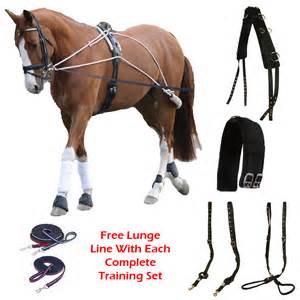 Horse Equestrian Schooling Lunging Roller Training Aid Pessoa Lunge