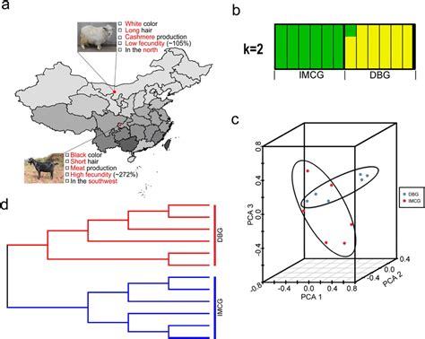 Samples Distribution And Population Structure A Distribution Of