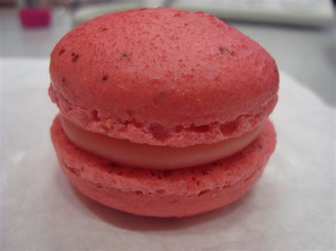 Subarashiiblog My First Macaroon