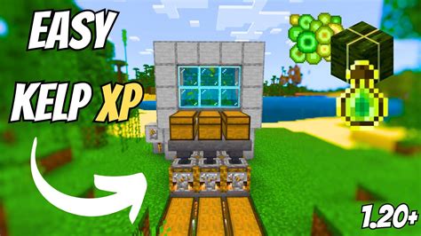 SIMPLE 1 20 KELP XP FARM TUTORIAL In Minecraft Bedrock MCPE Xbox PS4