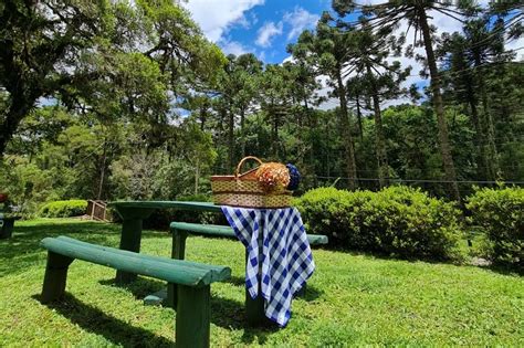 Férias de Verão em Campos do Jordão Parque do Horto Florestal