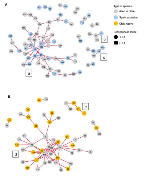 Visualisation Of The Co Occurrence Network For Both Ranges Red Lines