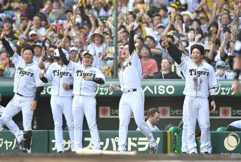 【画像】阪神破竹の7連勝で30勝一番乗り！大竹が大号泣の自己最多6勝目 新天地で輝き放つ左腕 打線一丸で奮起 ライブドアニュース