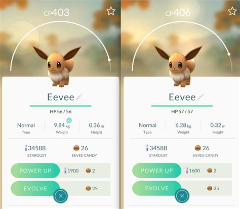 Eevee Evolution Chart