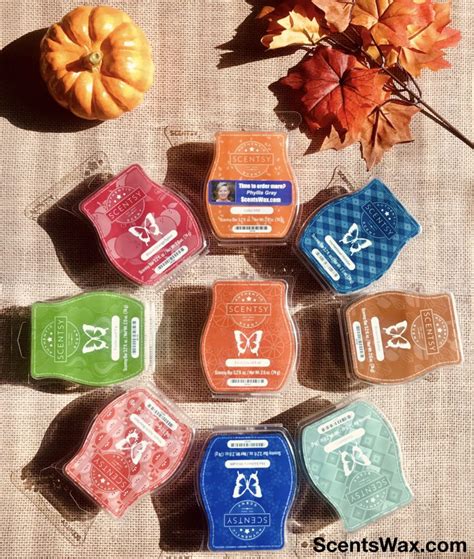 2019 Scentsy Fall Scents Review Video - Unbiased VIDEO review