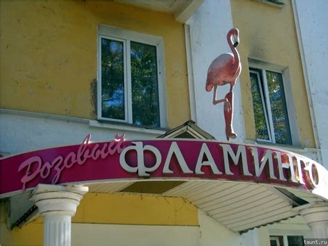 Фото "Розовый фламинго" записи "Абакан 2005" на сайте Что попало в кадр ...
